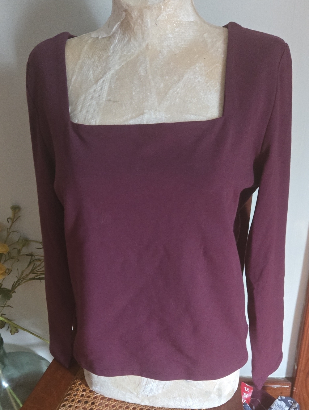 Nwt Express Square-Neck Long Sleeve Top in Plum